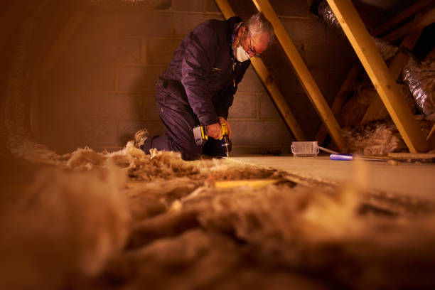 Best Insulation Maintenance and Repair in Rose Hill, NC